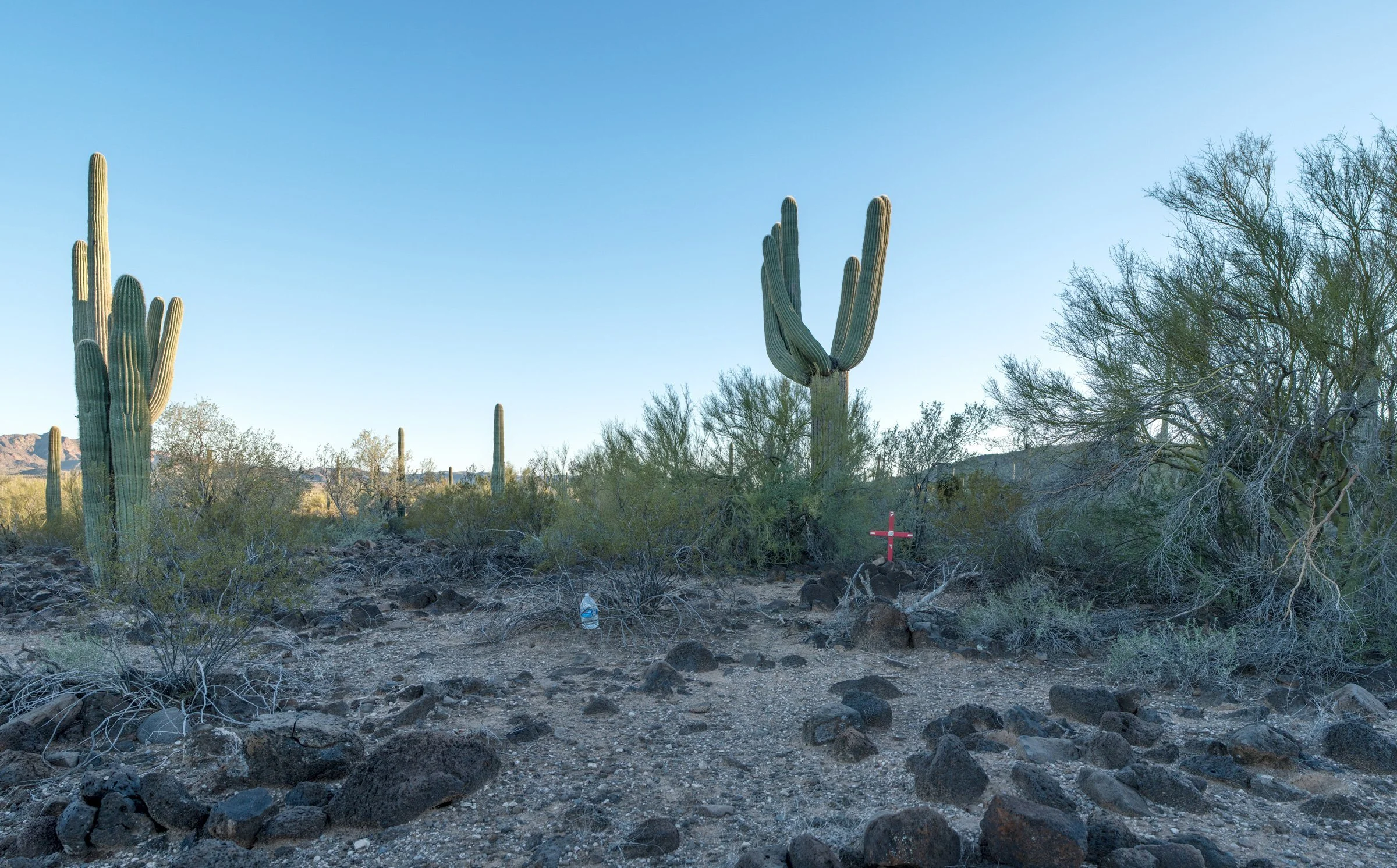  The skeletal remains of an unidentified male were found here, a few miles from Ajo. 