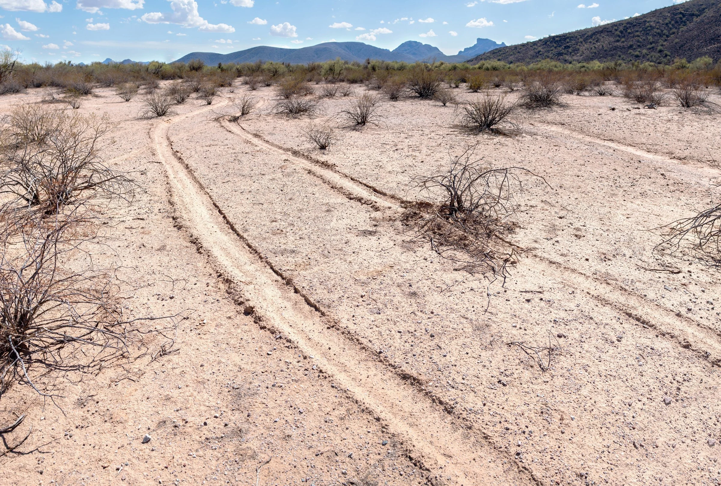  The tire tracks were left by the truck of a Medical Examiner who recovered the remains of an unidentified male in 2015; the cause of death was probably hypothermia. 