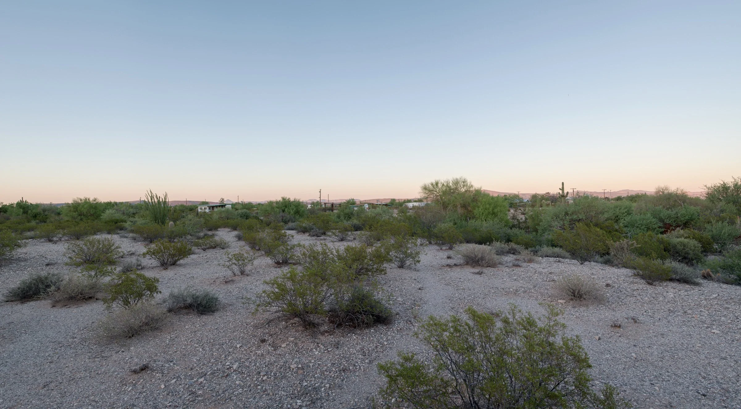  Jose Lara-Avila, age 19, died here of hyperthermia due to exposure. His remains were found in an empty lot yards from a house full of people in Ajo. 