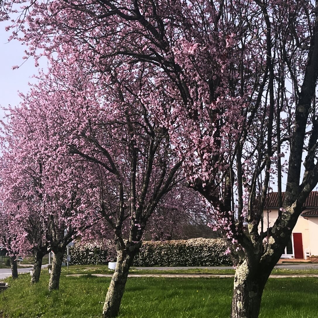 Spring is here 🥰