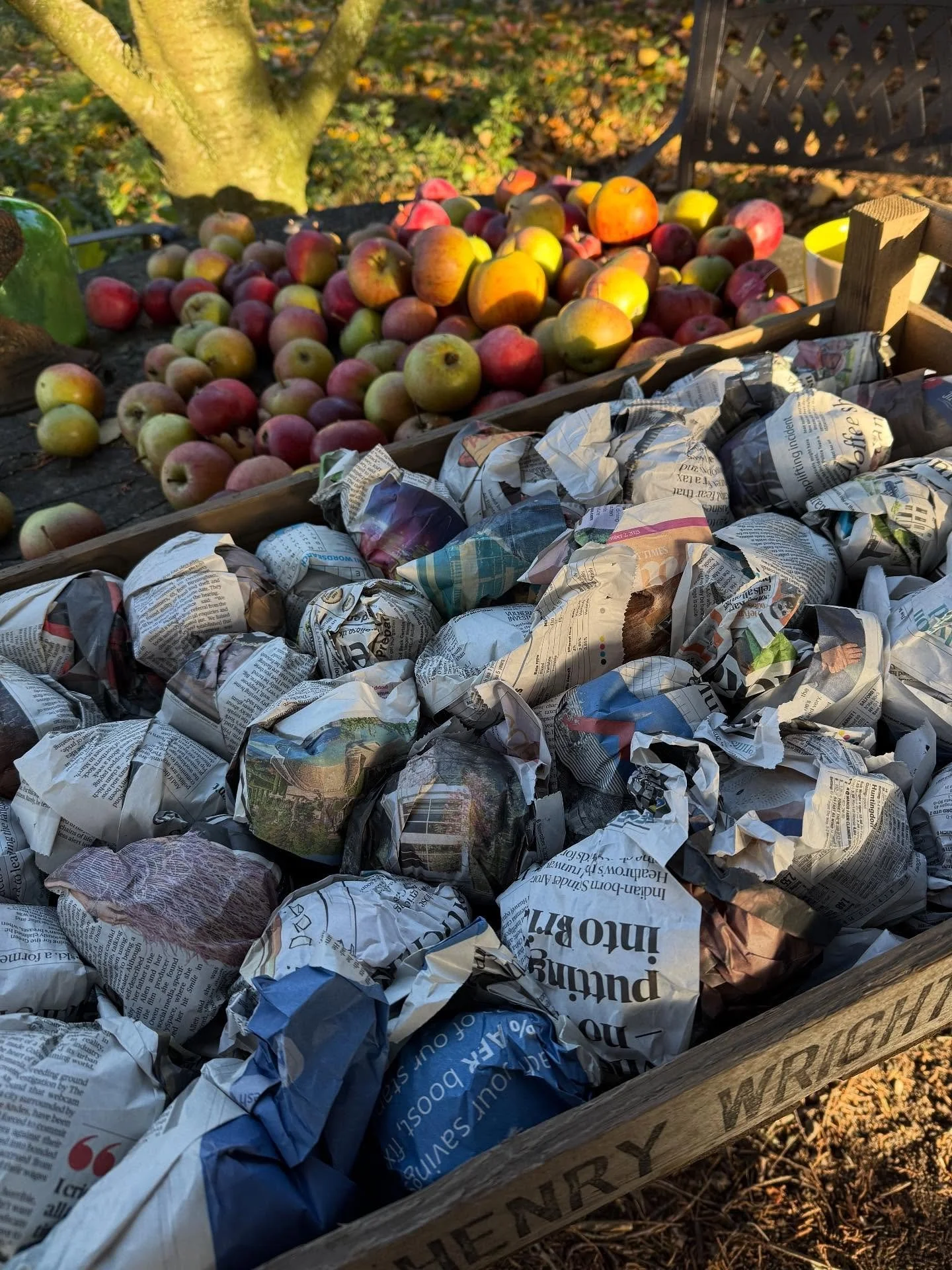 Novembering moments 🍂 

1. Wrapping endless apples for winter storage
2. Orange leaves while fungi foraging
3. Pumpkin soup for days
4. The new barn and storage finally happening
5. Sound on for your autumn soundtrack
6. 4+ years of hard work, sacri