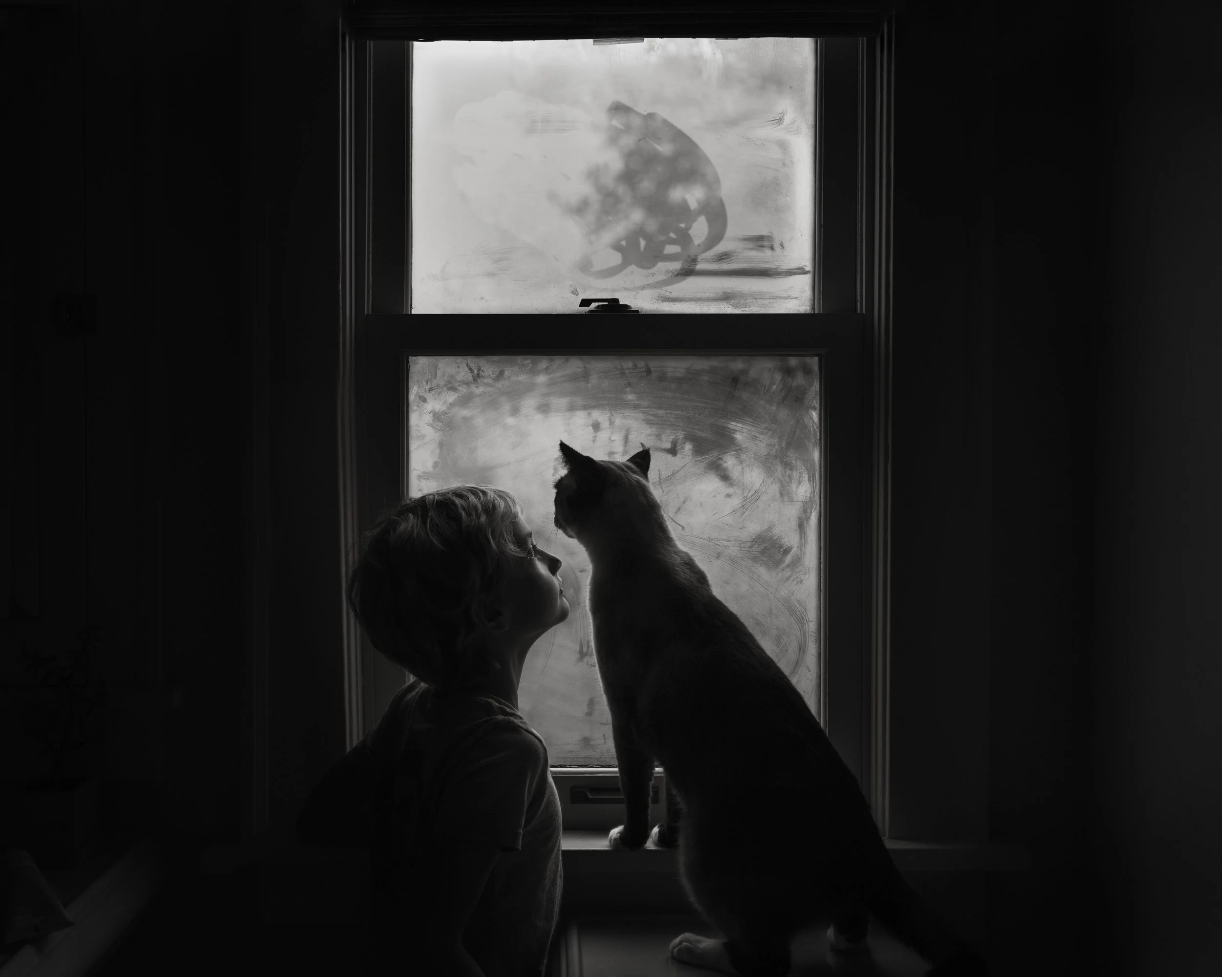 Cat & Boy number two.jpg