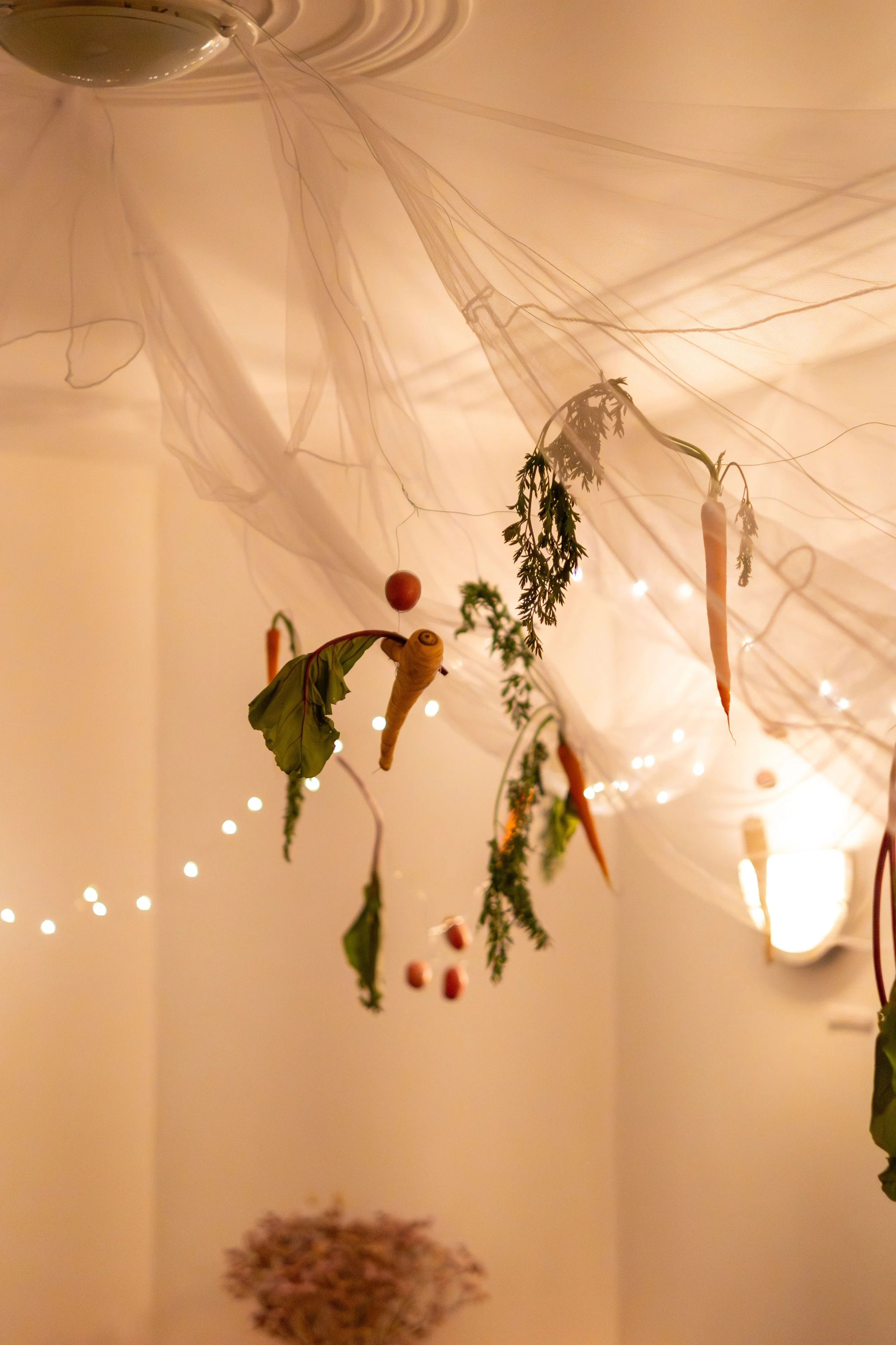 Hanging seasonal ingredients