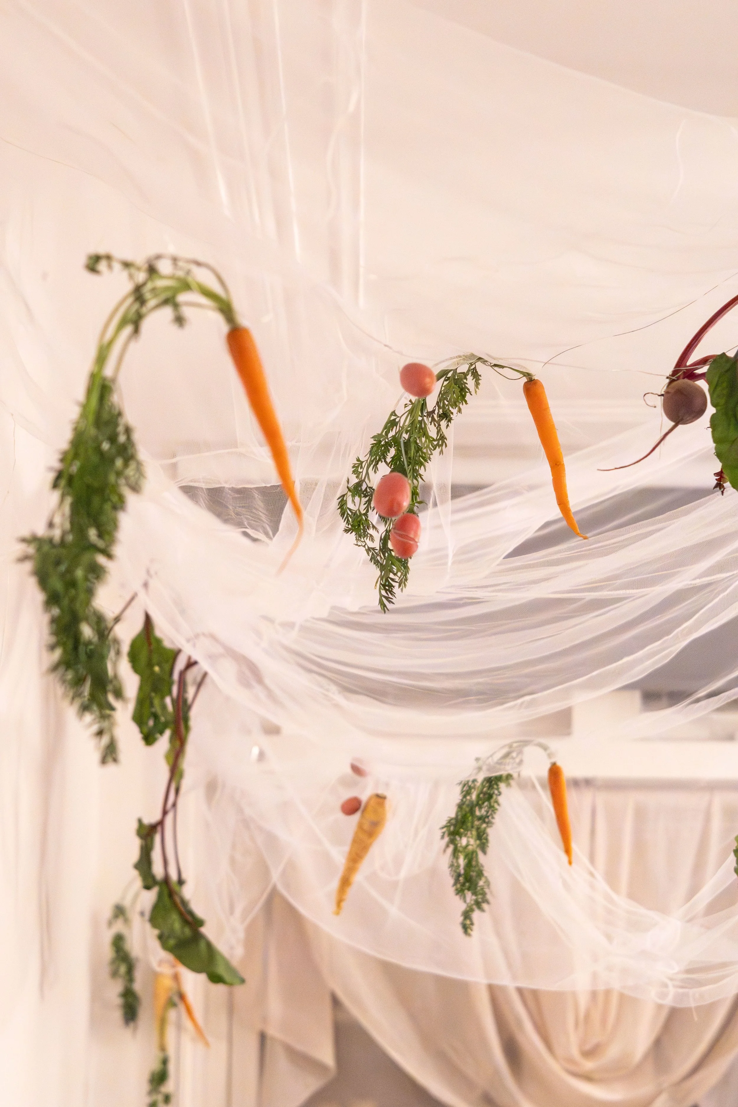 Seasonal vegetable hanging decorations