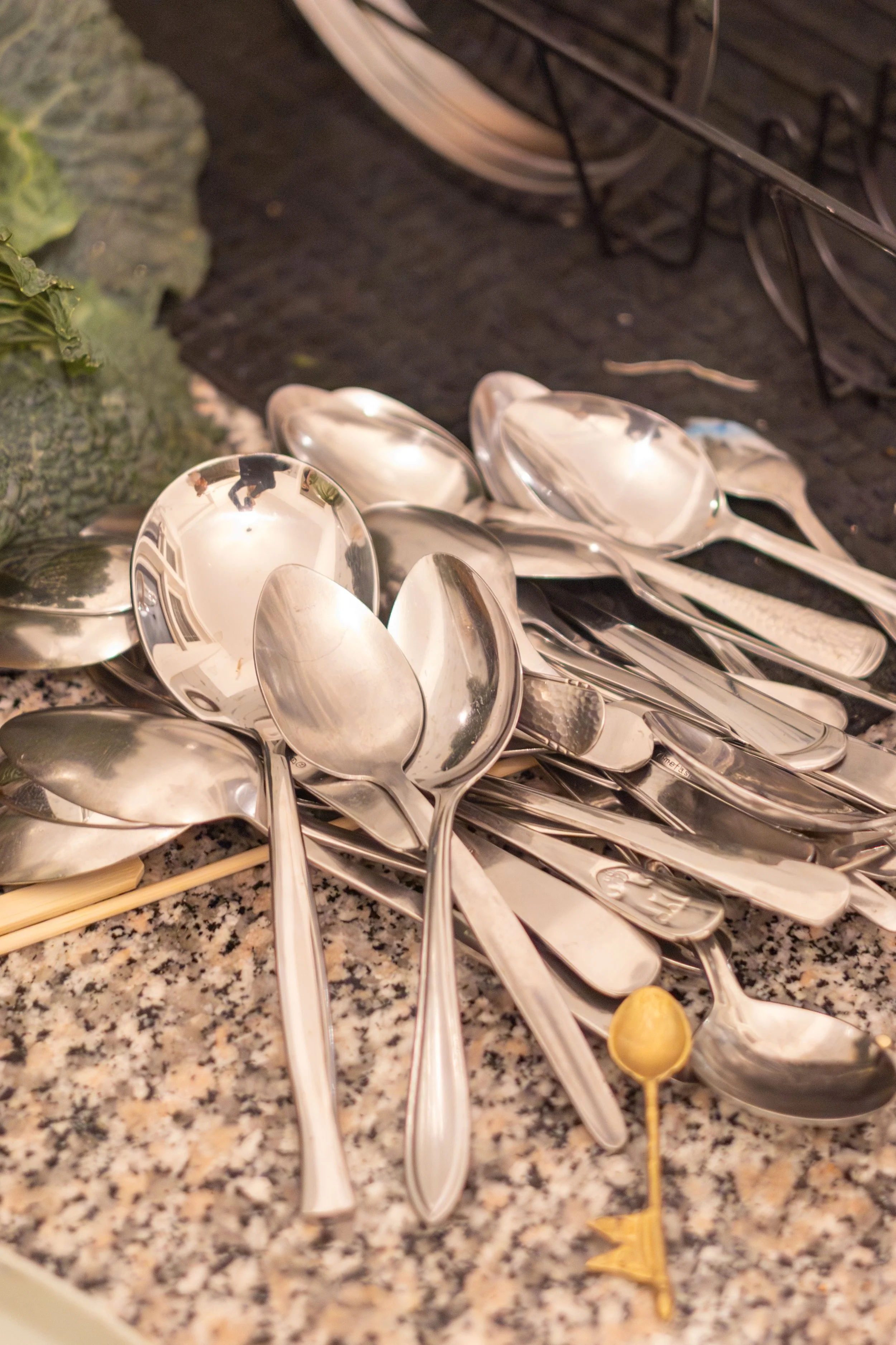 A sneak peek of Anna's vast spoon collection