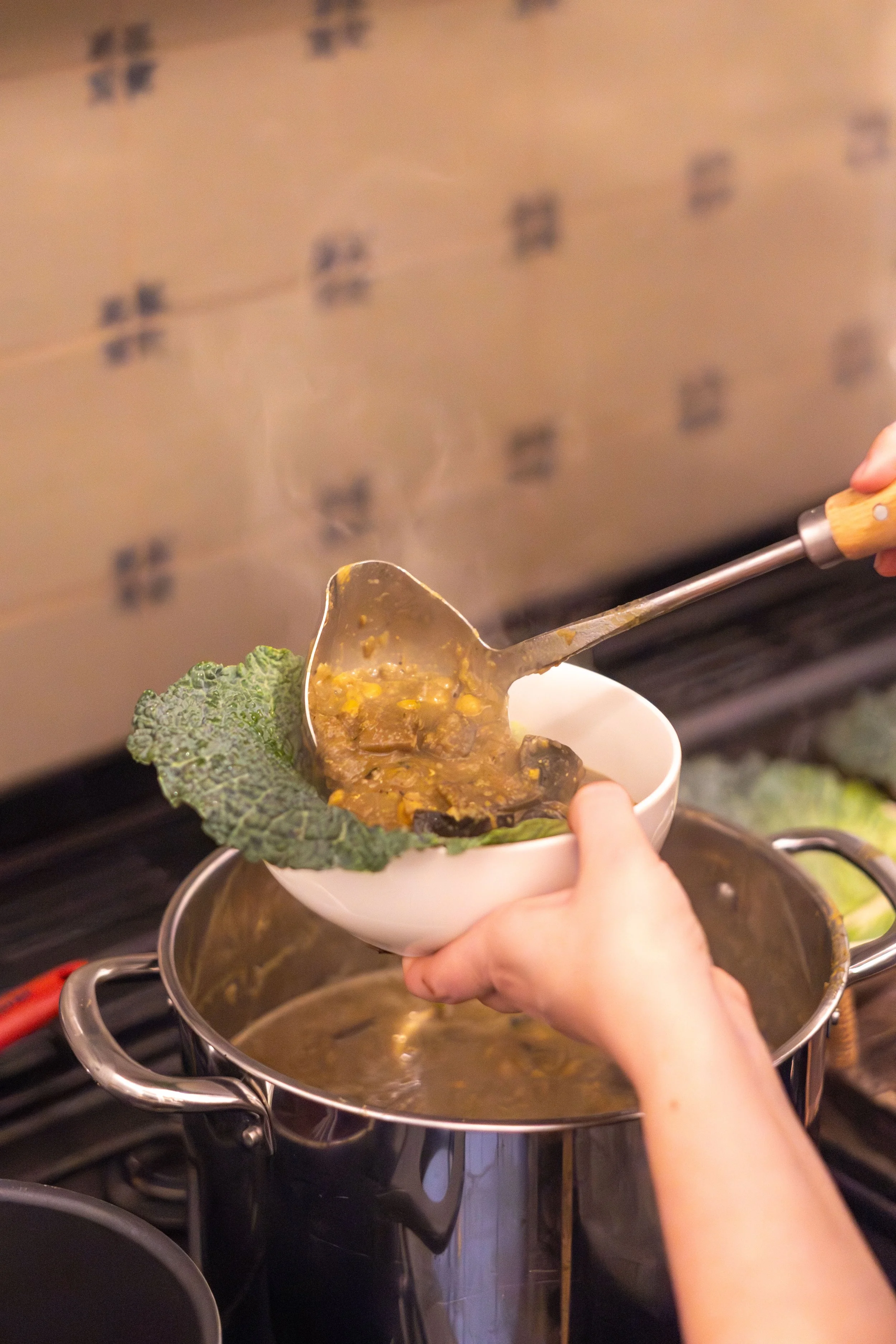 Zaatar eggplant, lentil, chickpea stew