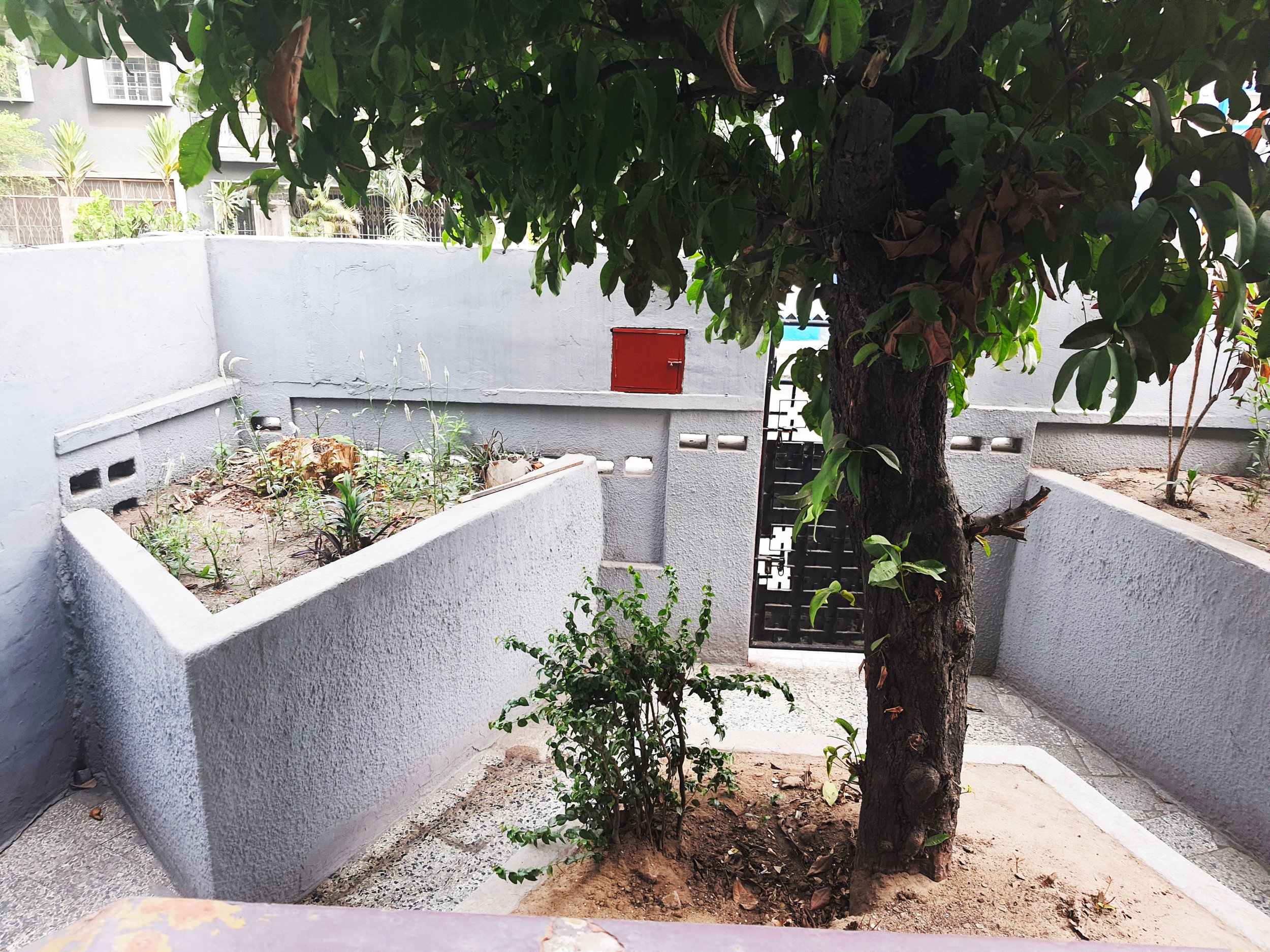 1 compound at number 14.jpg