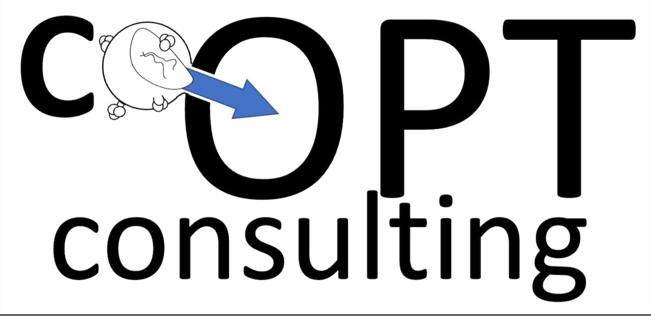 Co-opt Consulting