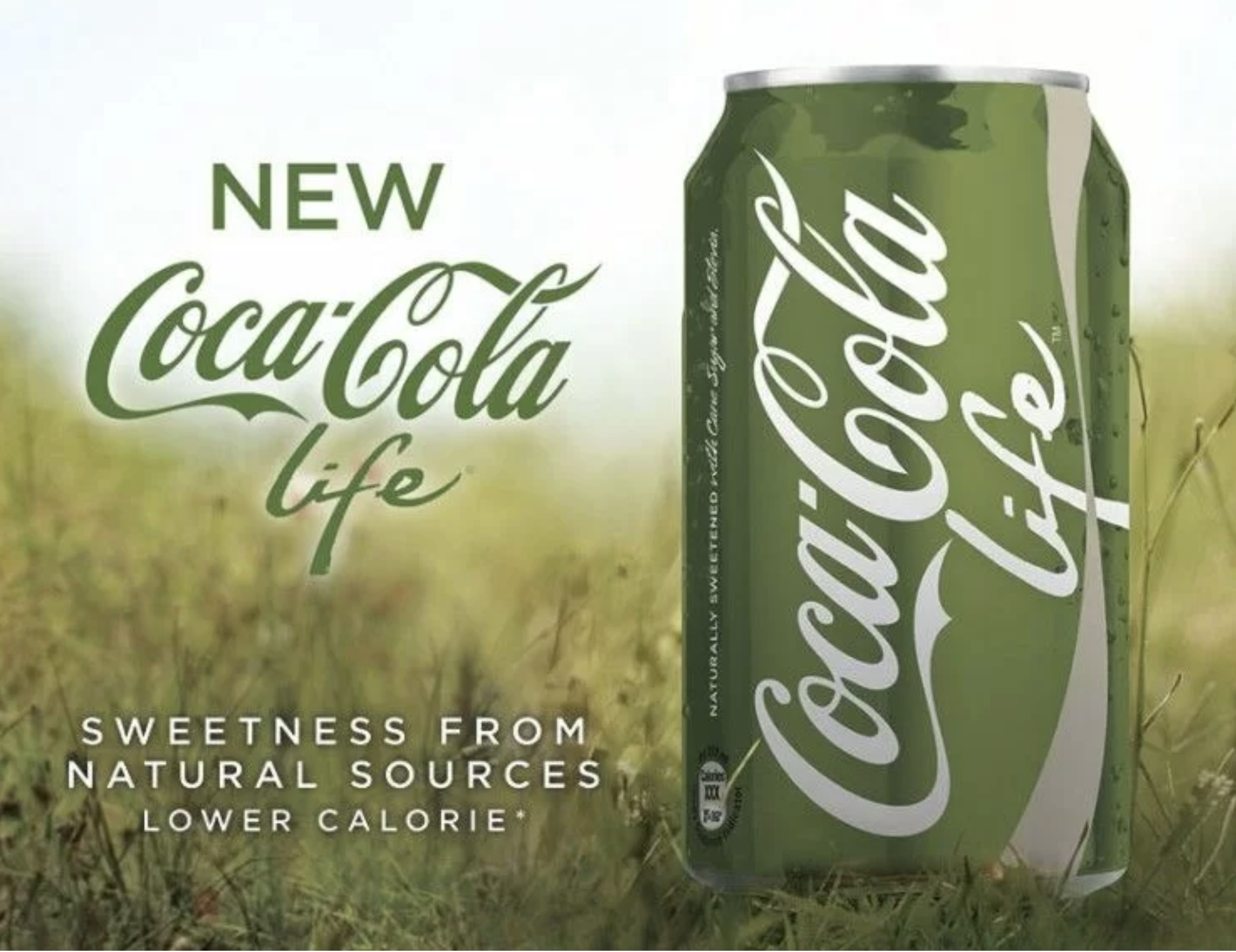 Greenwashing: How green is your purchase?