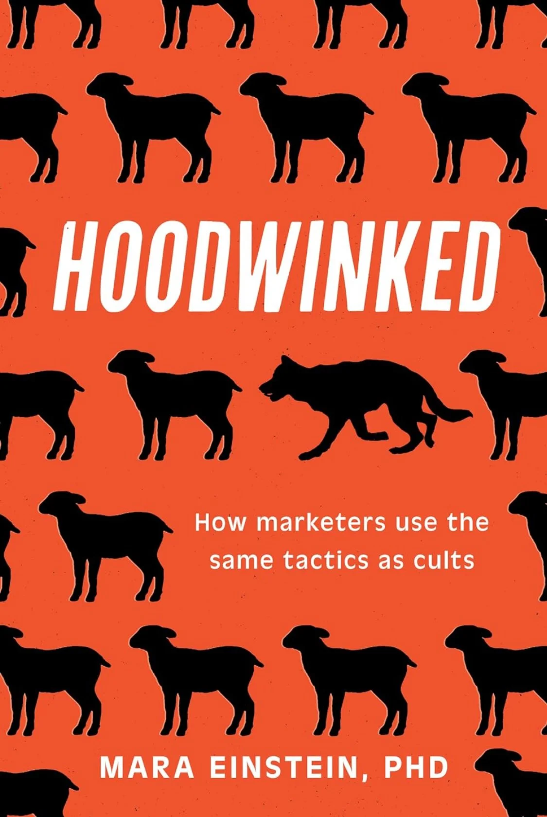 hoodwinked cover art.JPEG