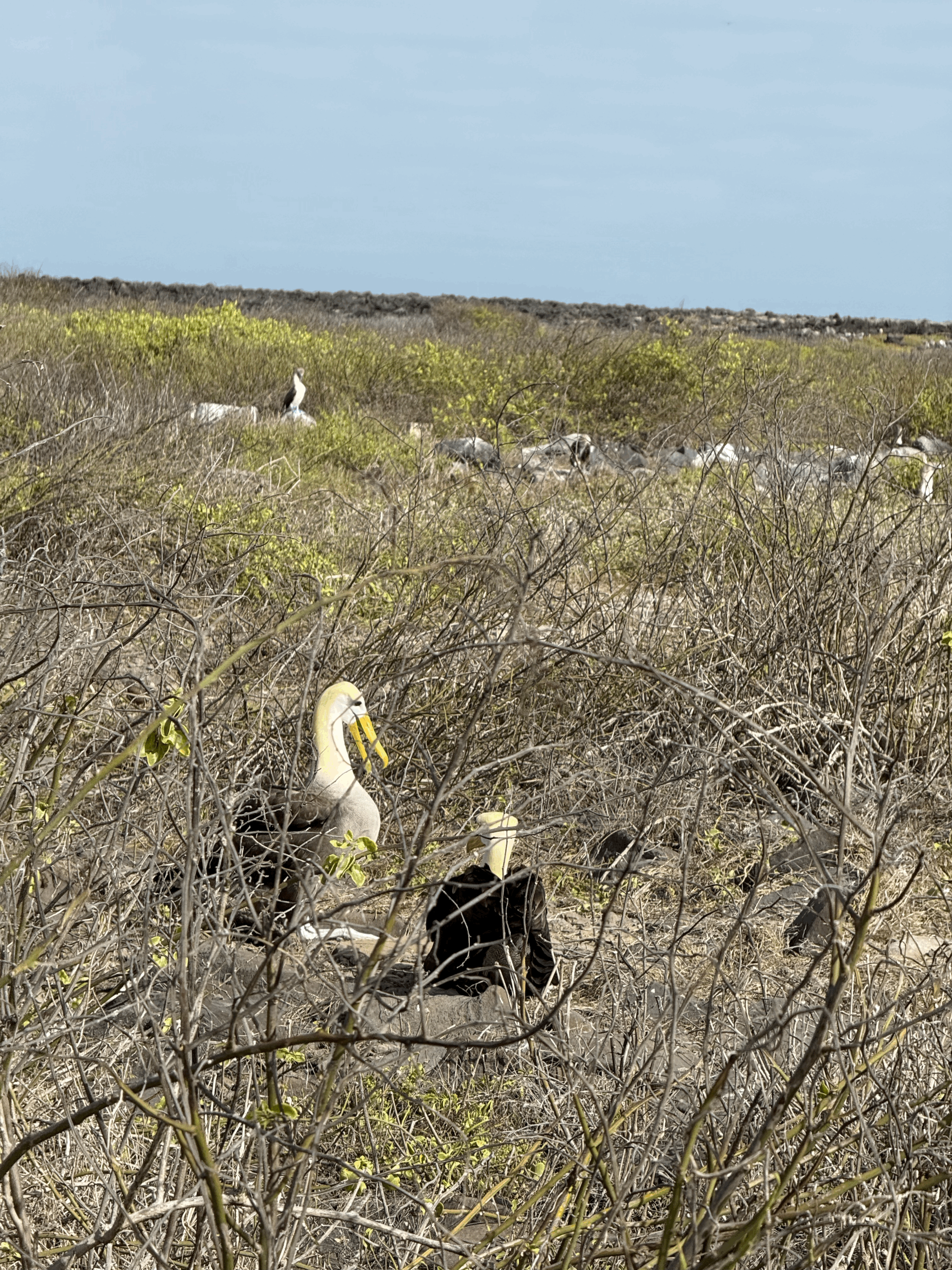 How to Support your Partner (while keeping a sense of self)