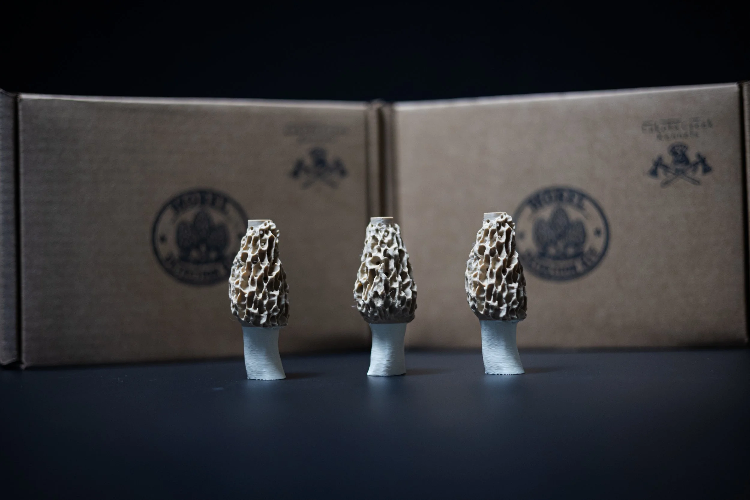 3 Pack of Morel Mushrooms