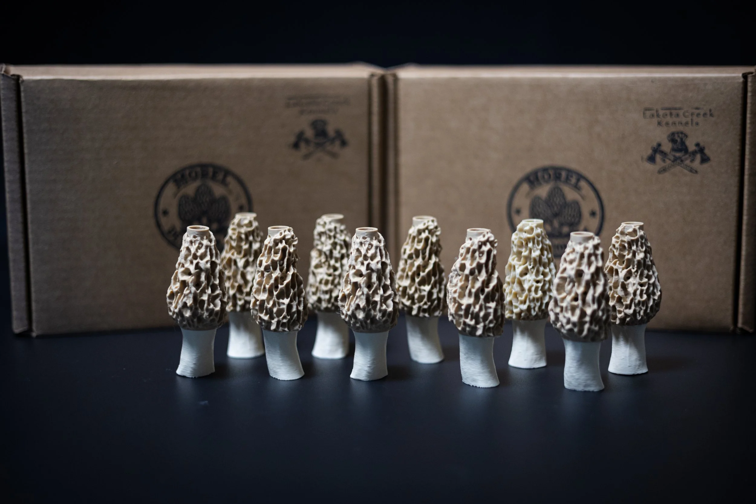 10 Pack of Morel Mushrooms
