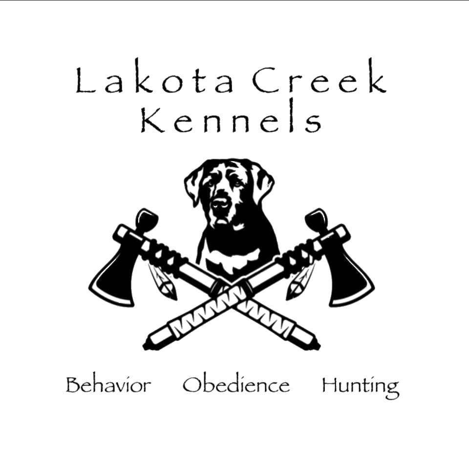 lakota-creek-kennels-dog-training-near-des-moines