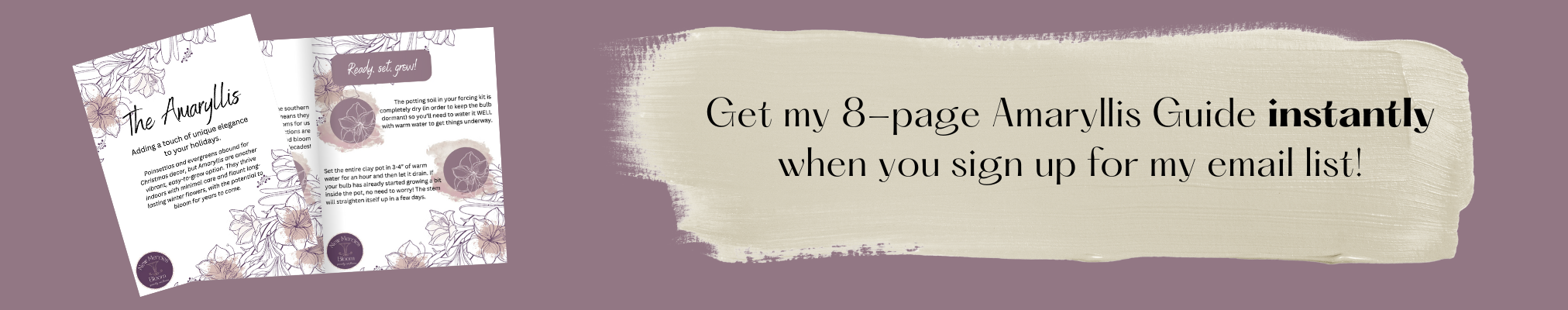 Digital Amaryllis Grow Guide Download