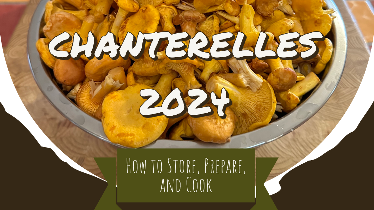 Chanterelles - The Complete How to Guide