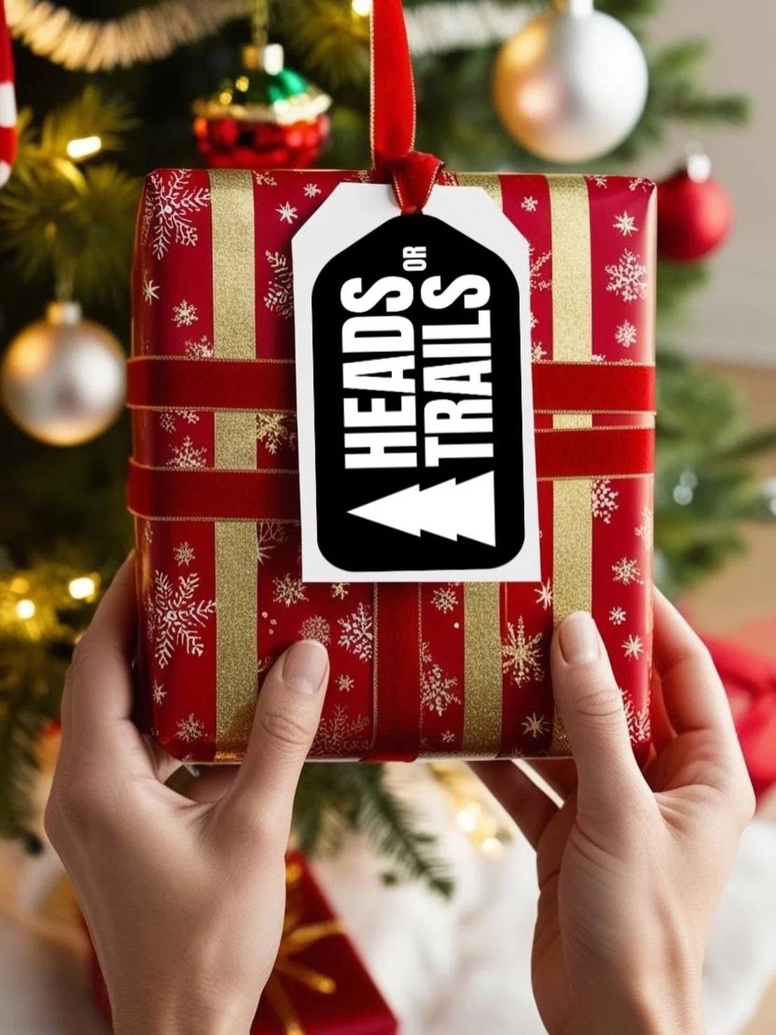 Merry Christmas everyone 🎅🎁