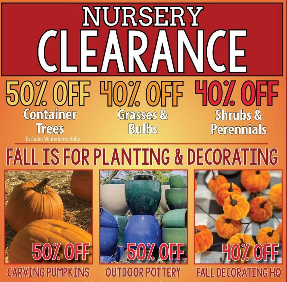 🍁 Fall in love with these deals — Our Fall Clearance is here, shop before it’s gone! 🍂 
🍁 50% OFF Container Trees
🍁 40% OFF Grasses & Bulbs
🍁 40% OFF Shrubs & Perennials
🍁 50% OFF Carving Pumpkins
🍁 50% OFF Outdoor Pottery