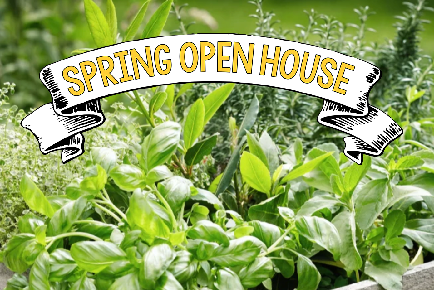 Beautiful Edible Container Gardens - With The BCG Team!