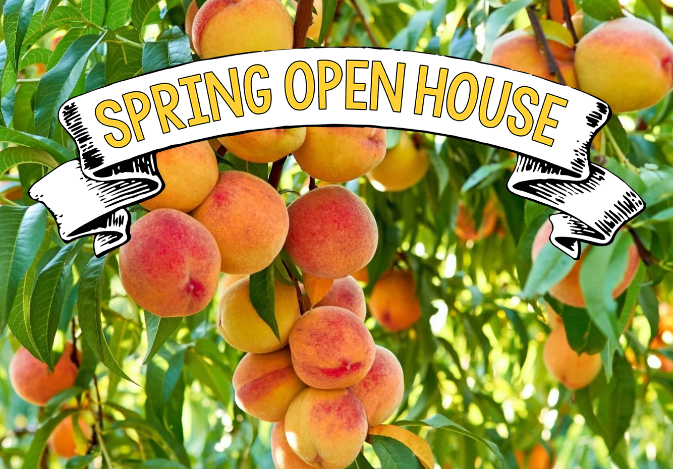 Fruit Trees &amp; Berry Bushes - With THE BCG TEAM!