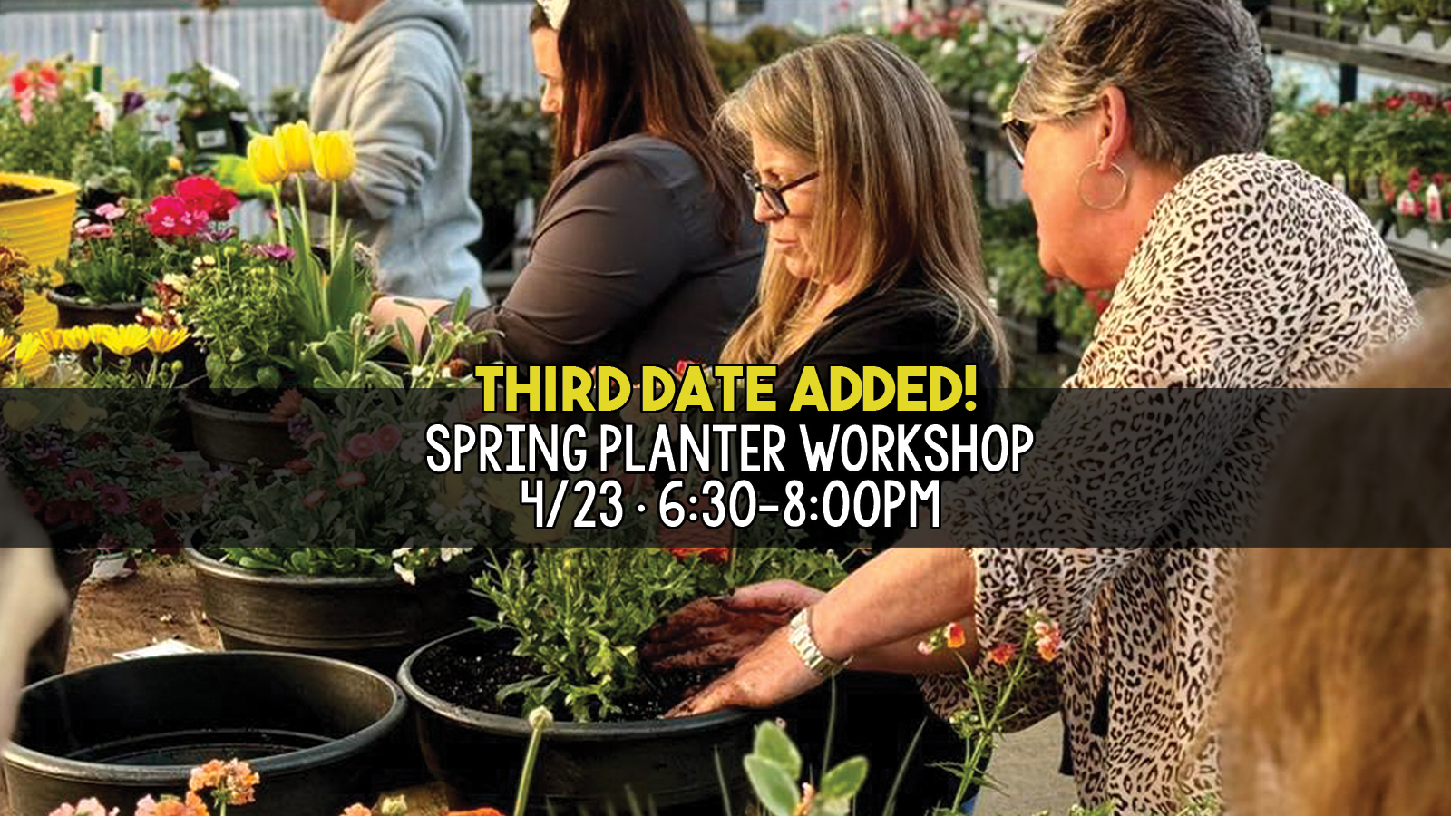 third date spring.png