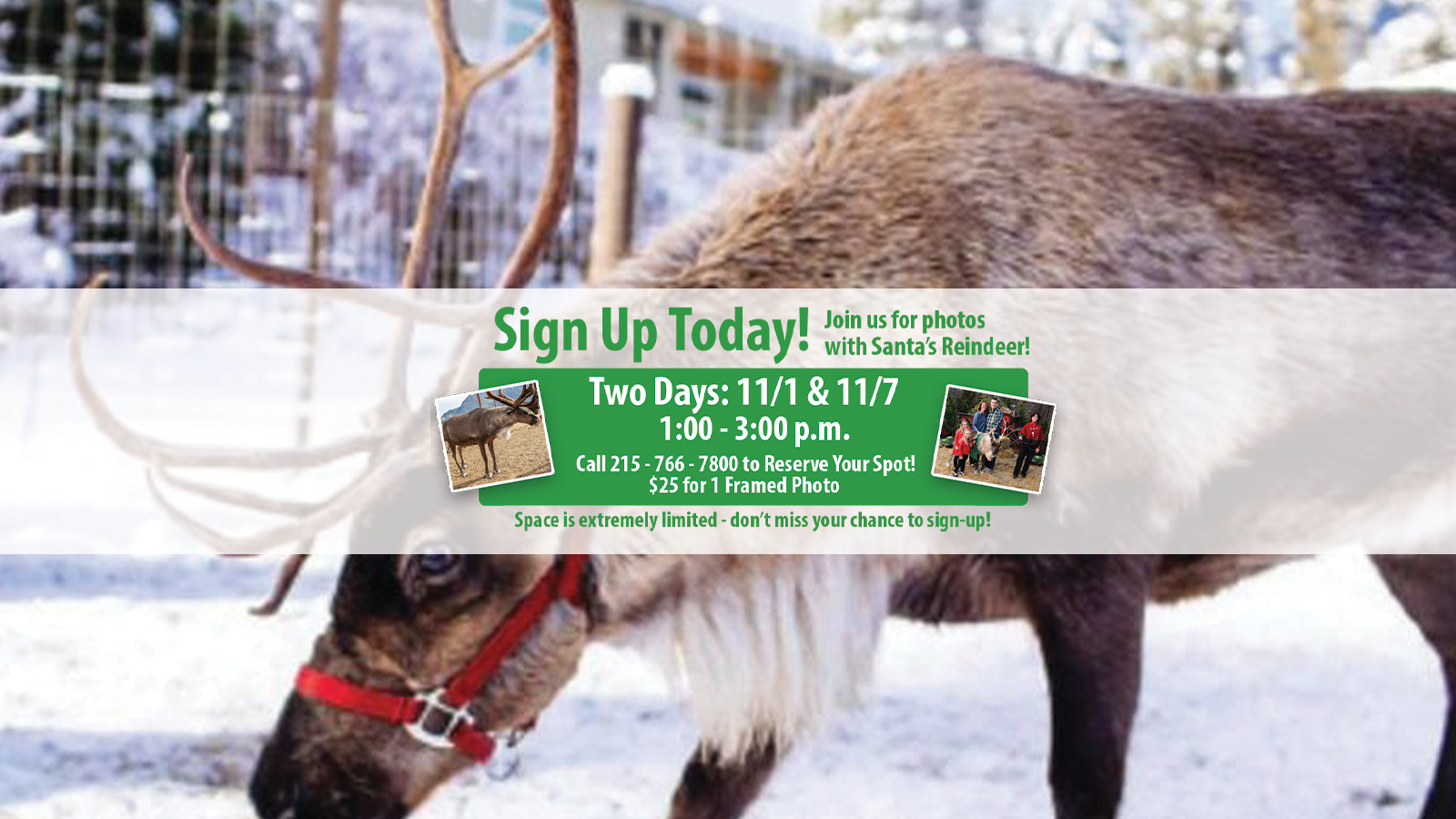 Slider - Reindeer Photos.png