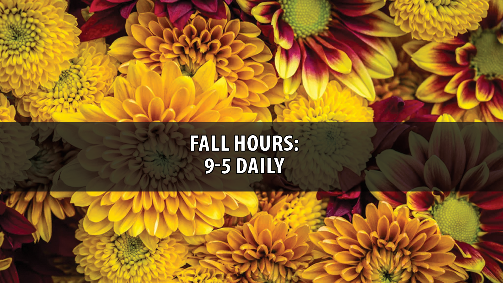 Fall Hours Slider.png