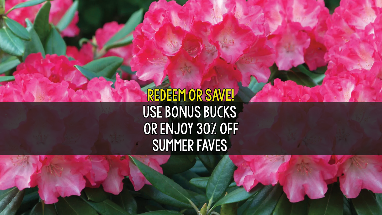 redeem or save 1.png