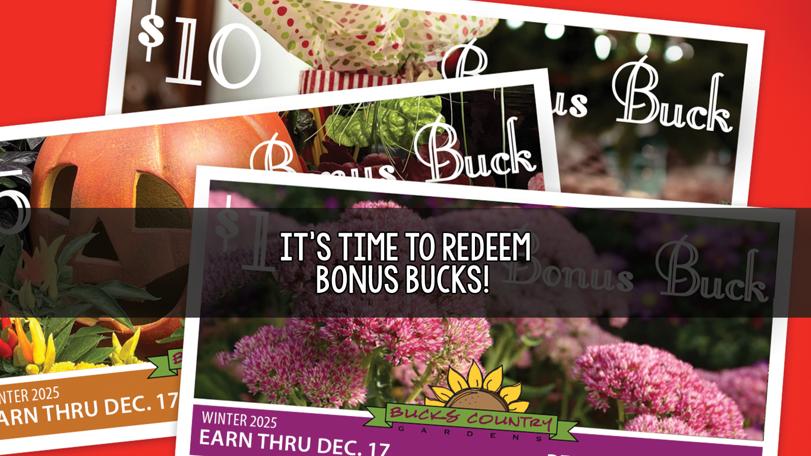 Bonus Bucks.png
