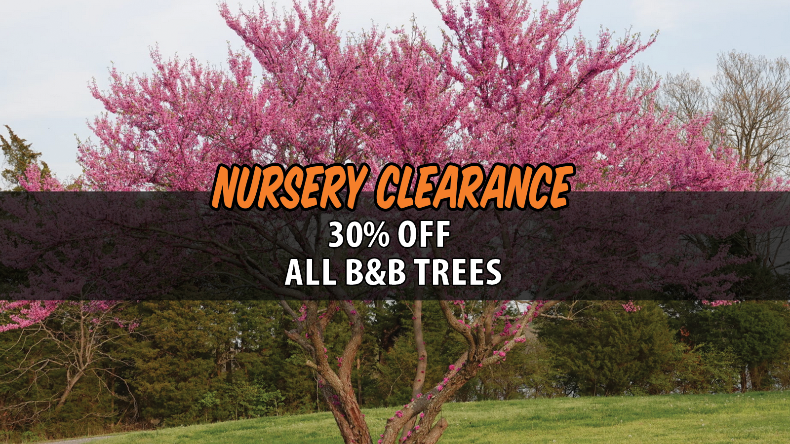NurseryClearance - 2026 Slider BnB.png