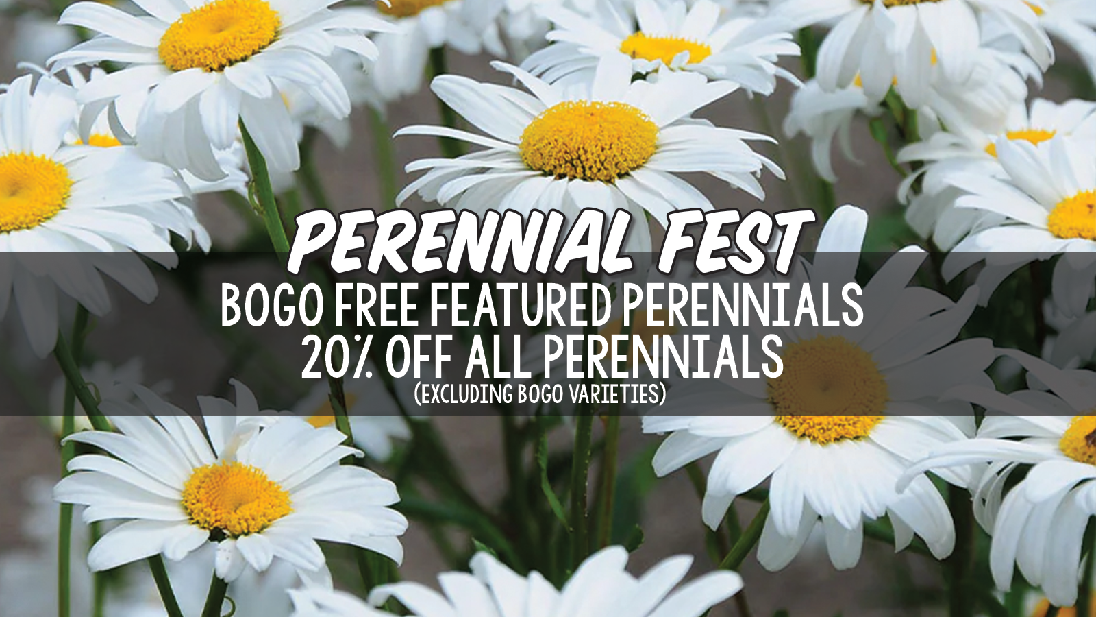 perennial fest slider 2.png