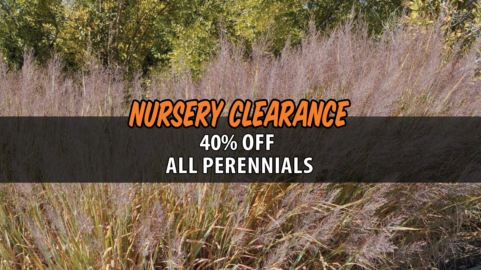 NurseryClearance - 2026 Slider Perennials.png
