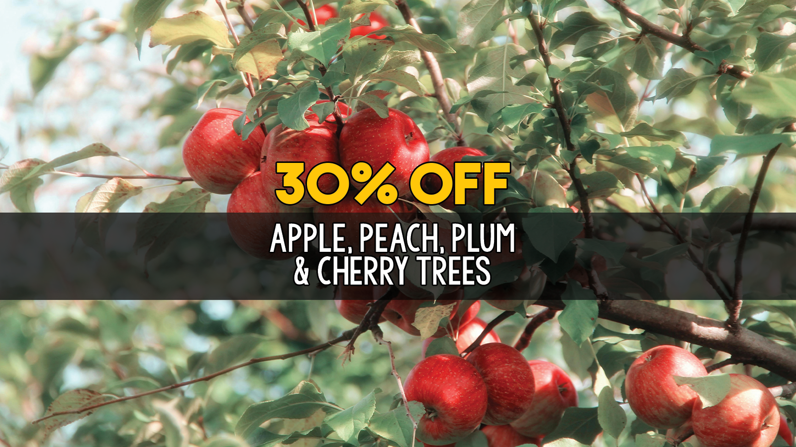 fruit tree 30 slider.png
