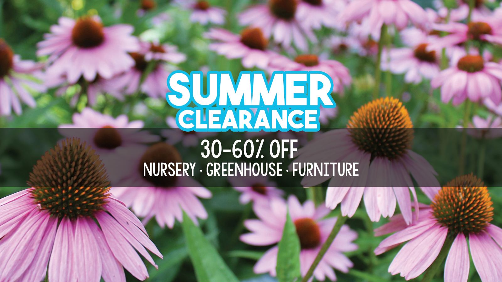 summer clearance slider 2.png