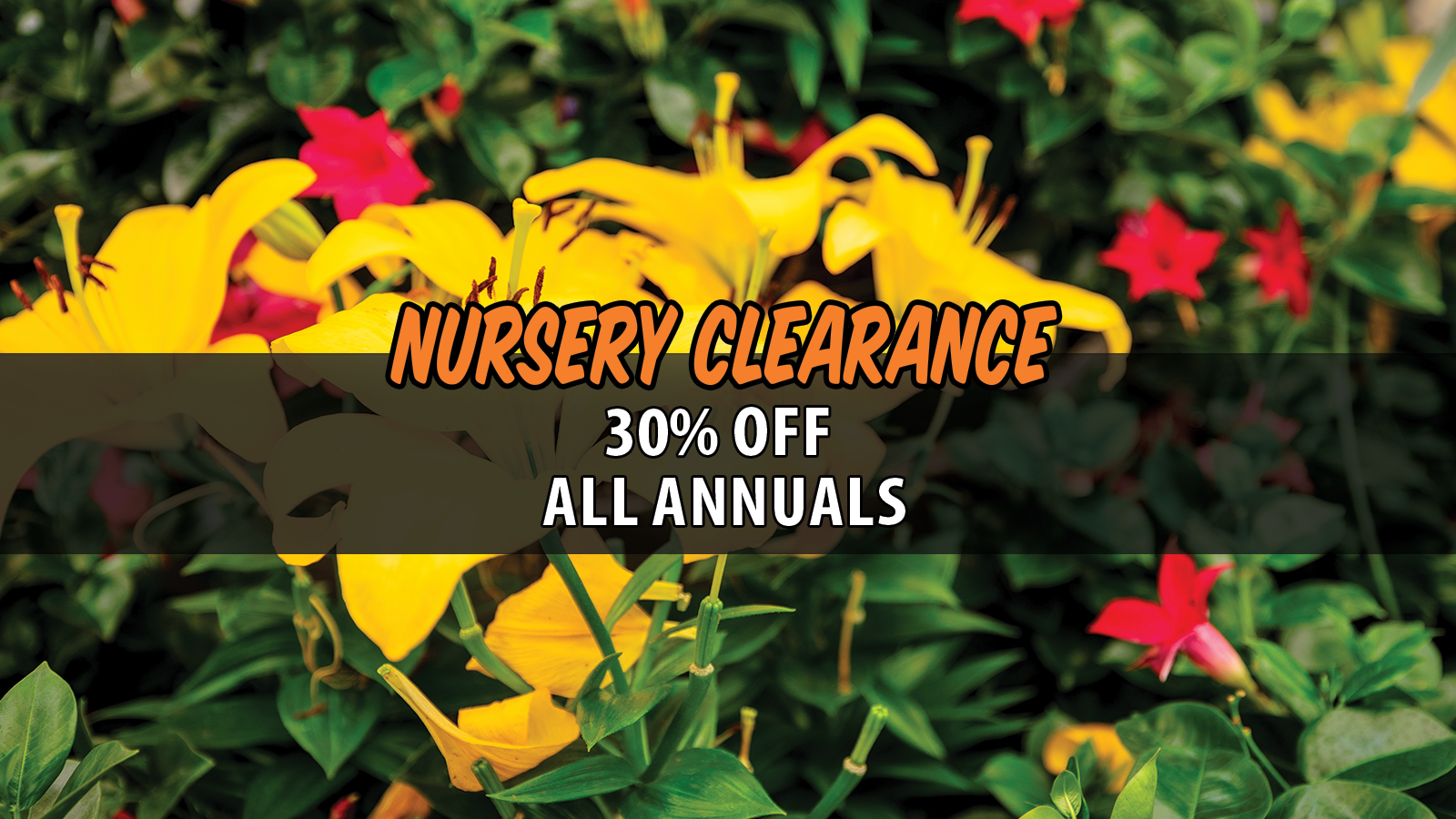 NurseryClearance - 2026 Slider Annuals.png