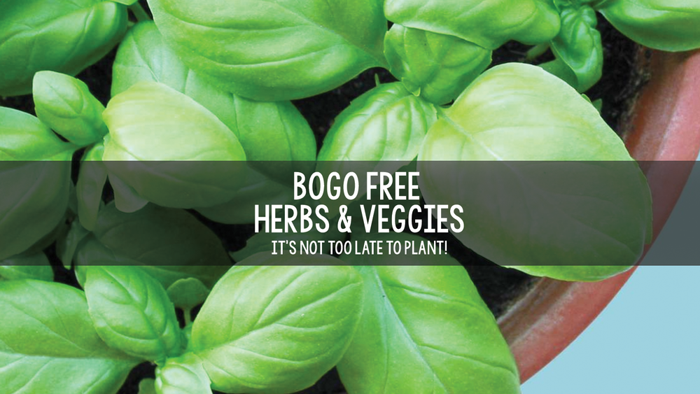 Bucks Country Gardens