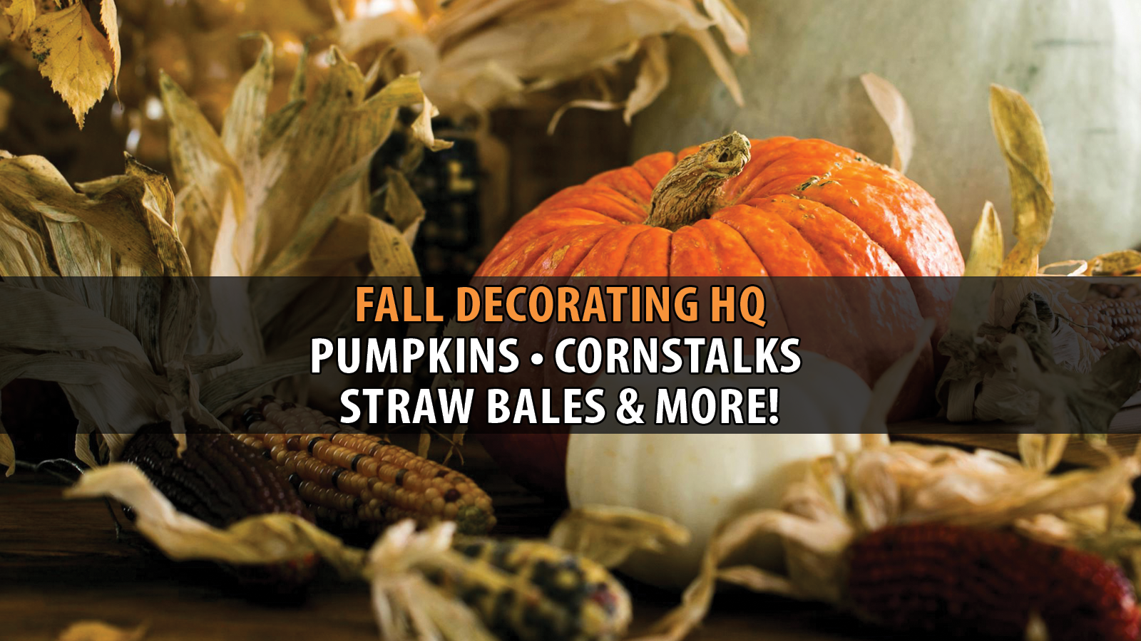 fall decorating hq 2026.png
