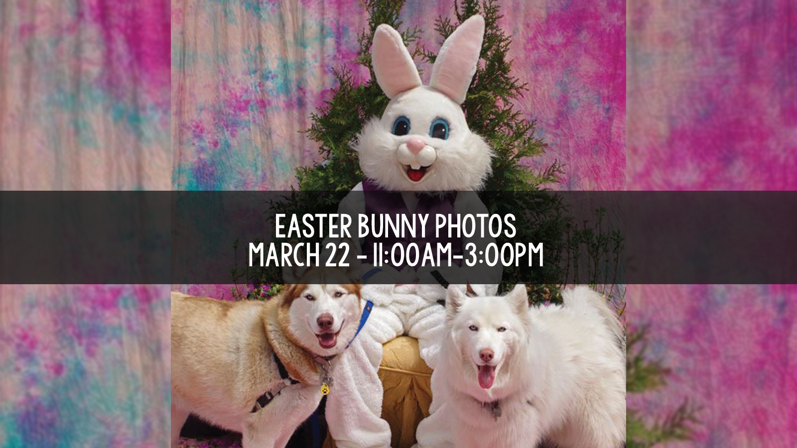 easter bunny slider2026.png