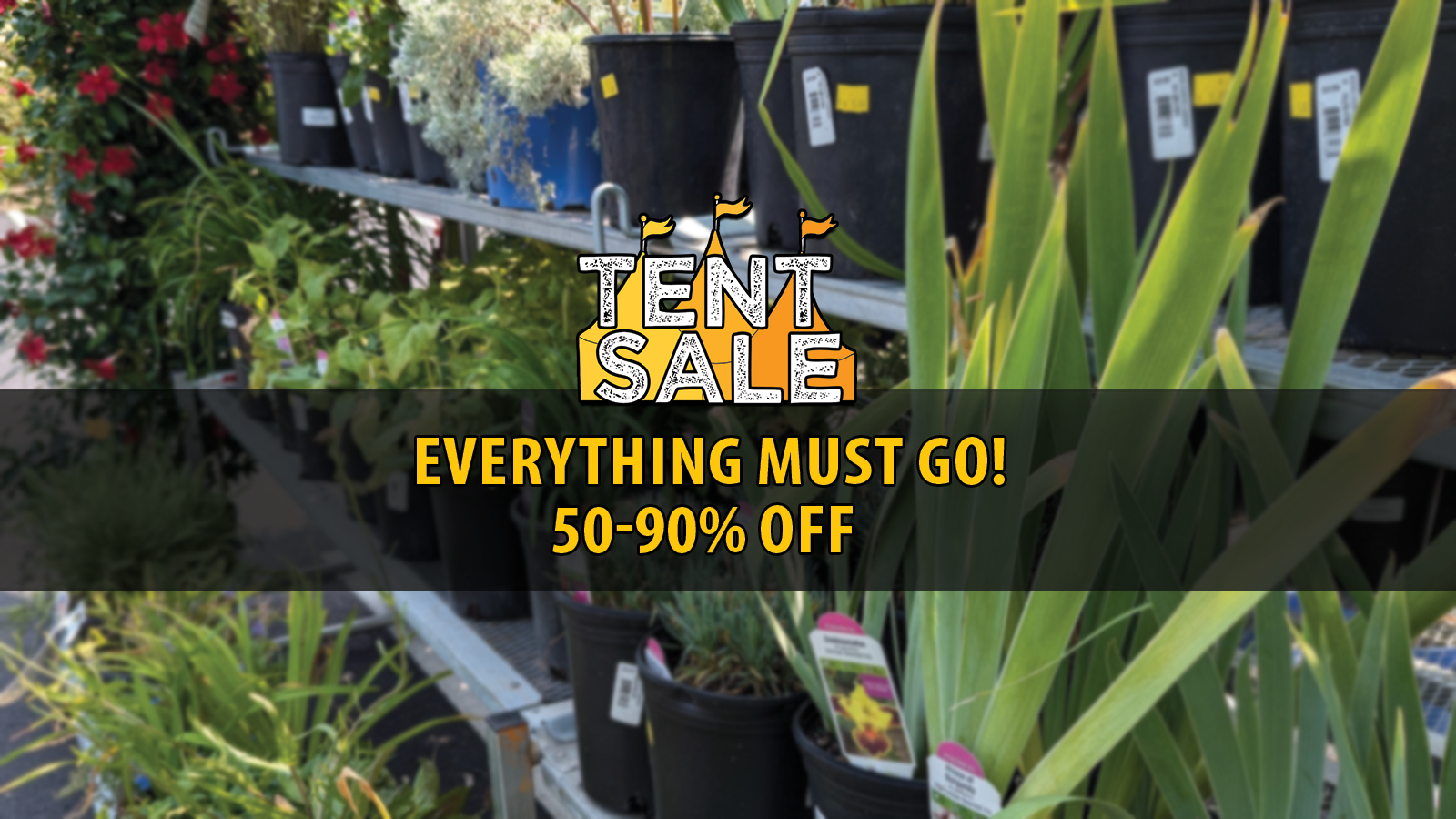 Tent sale 5-90.png