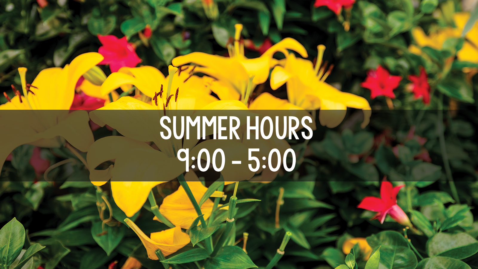 summer Hours Slider.png