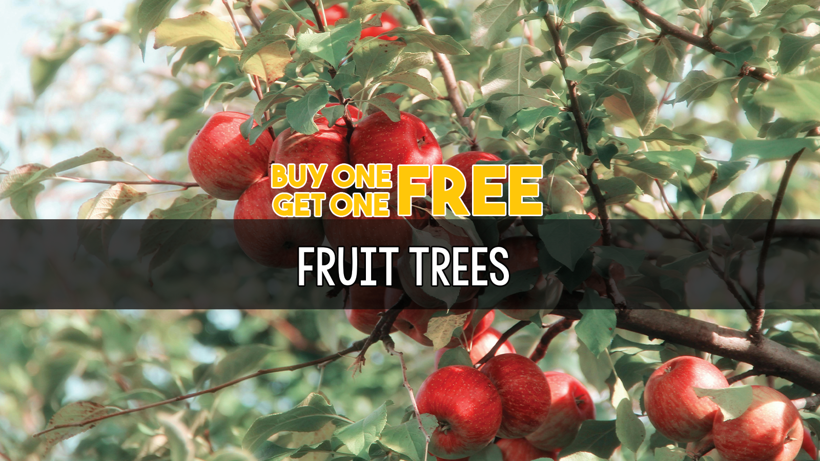 fruit tree slider.png