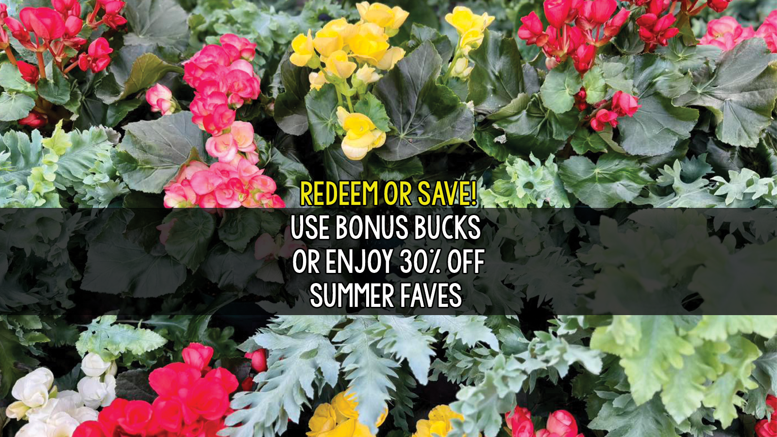 redeem or save 2.png