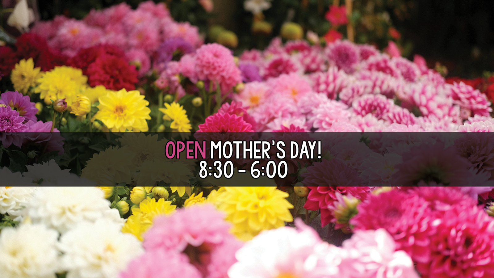 mothers day slider.png
