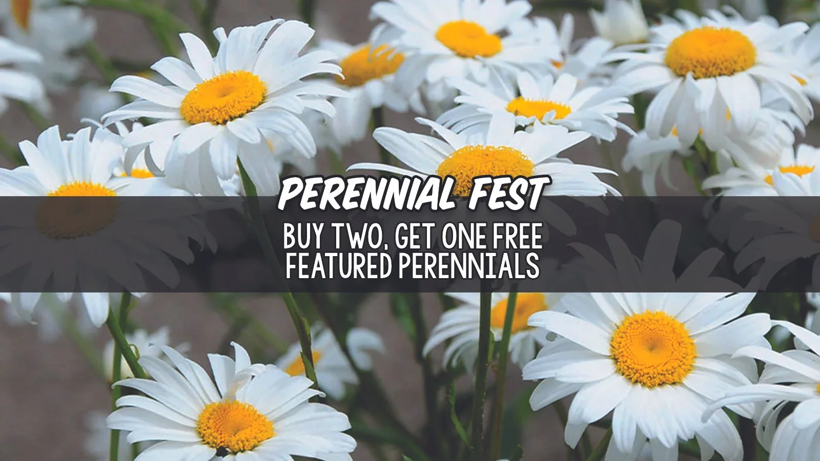 Perennial Fest Slider2.jpg