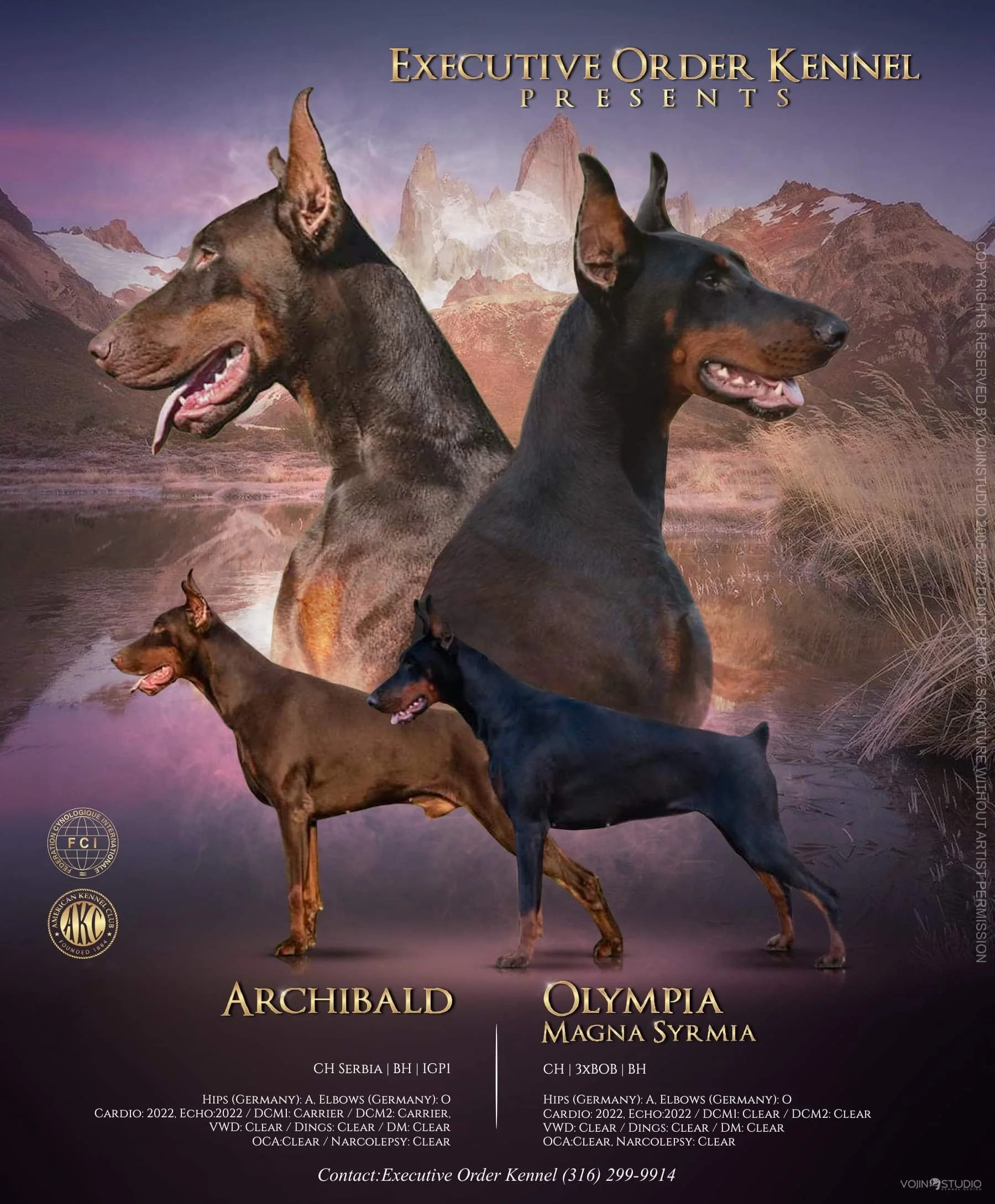 European Doberman Puppies for SaleExecutive Order Top AKC Breeder