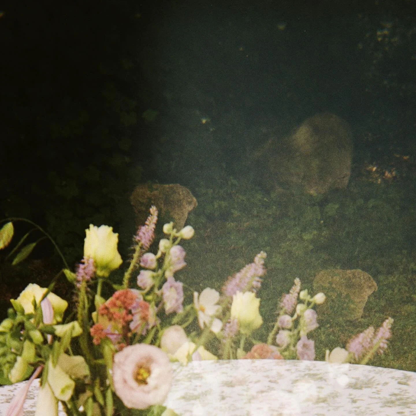 Some more film favorites from the Romero wedding. A few happy film accidents, lots of good vibes, most of all - so much intention and even more thoughtfulness.

Saved the best (tastiest) photo for last... ;))

🪻🪻🪻

Venue: @summerhouselavender
Coor