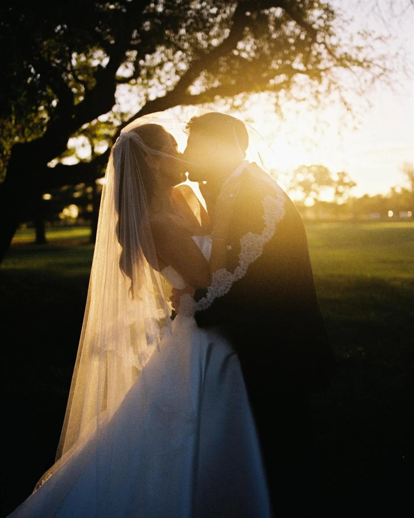 A handful of film favorites, in no particular order, from Sophie &amp; Caleb&rsquo;s wedding in Des Moines Iowa at The Tea Room. Surrounded by the people they love. 💌

Vendors &mdash; 
Venue: @thetearoomdsm 
Planner: @yourstrulyweddingsandevents 
Ph