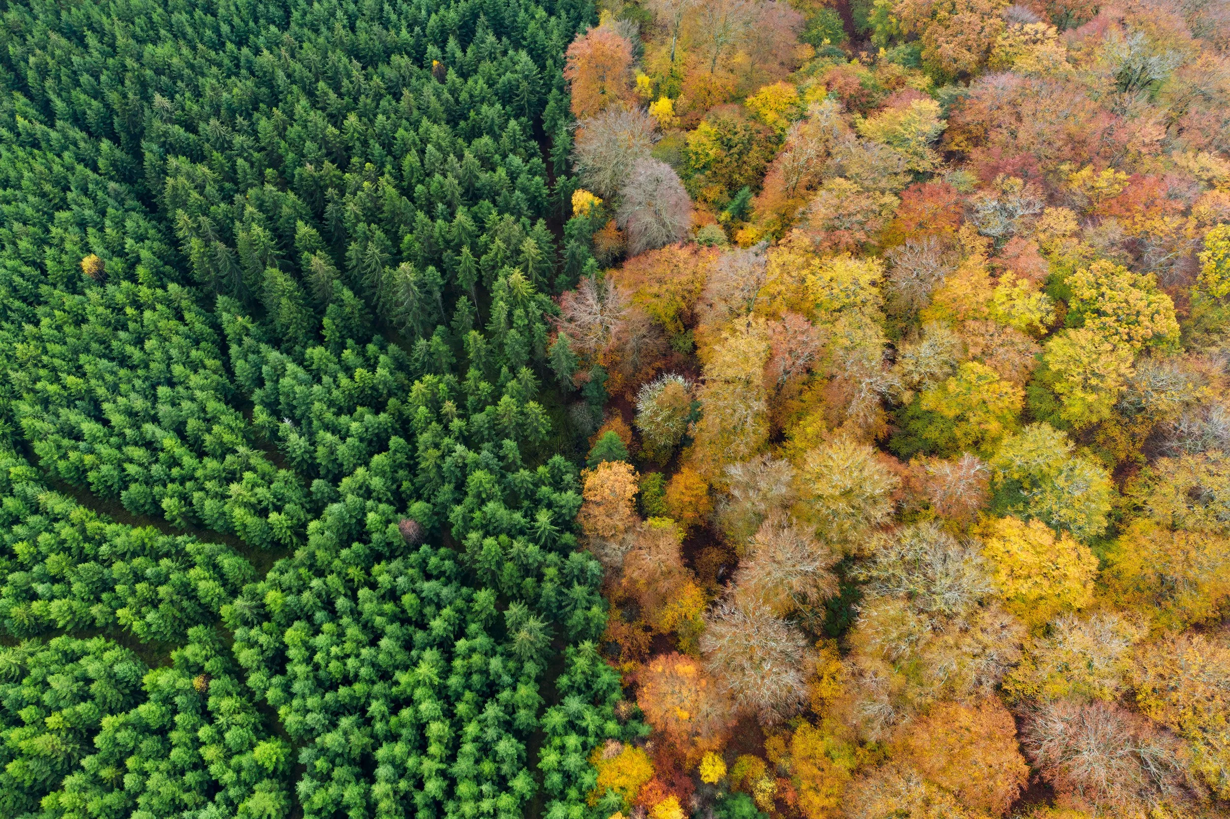 Fotograf: Thomas Andersson