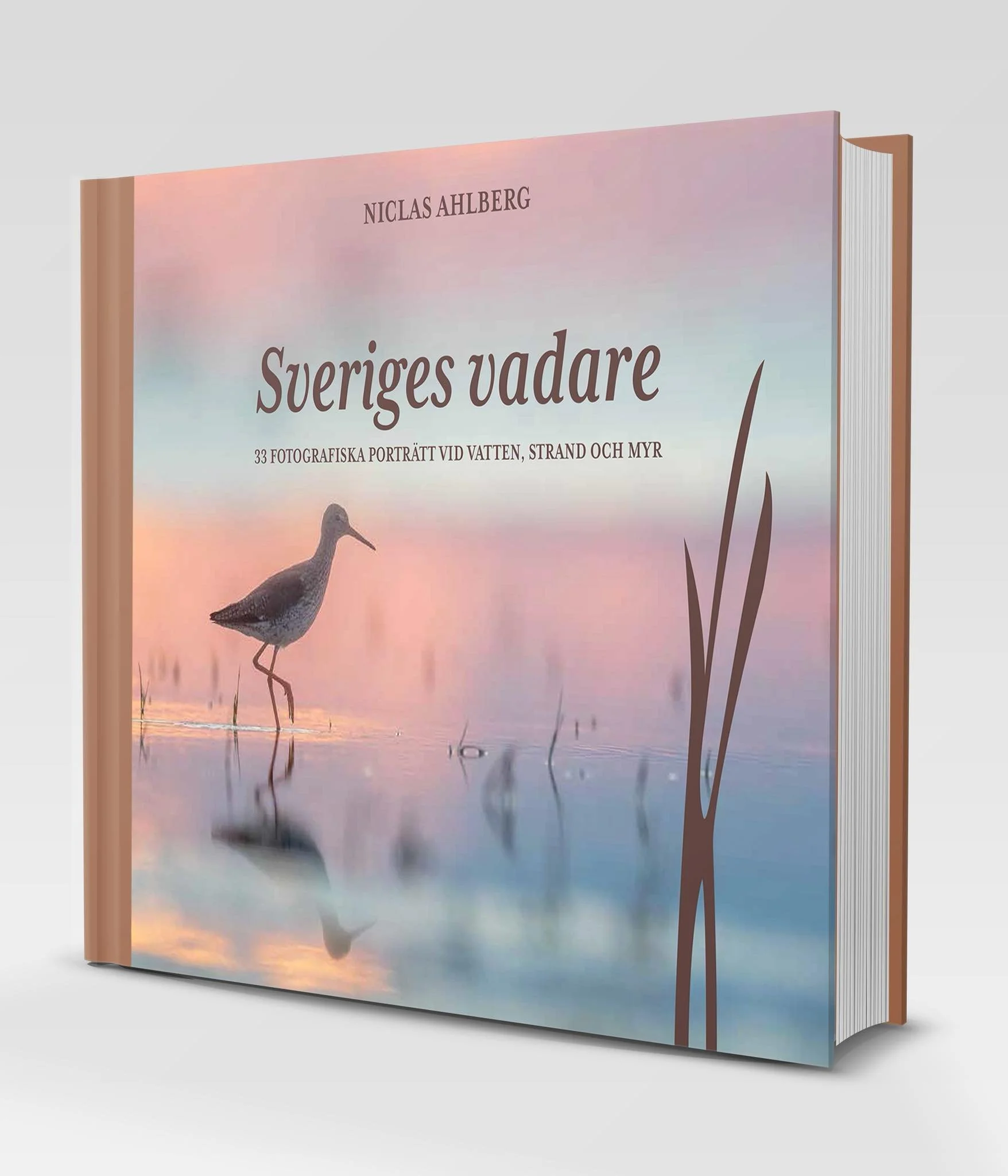 Ny bok om Sveriges vadare av Niclas Ahlberg