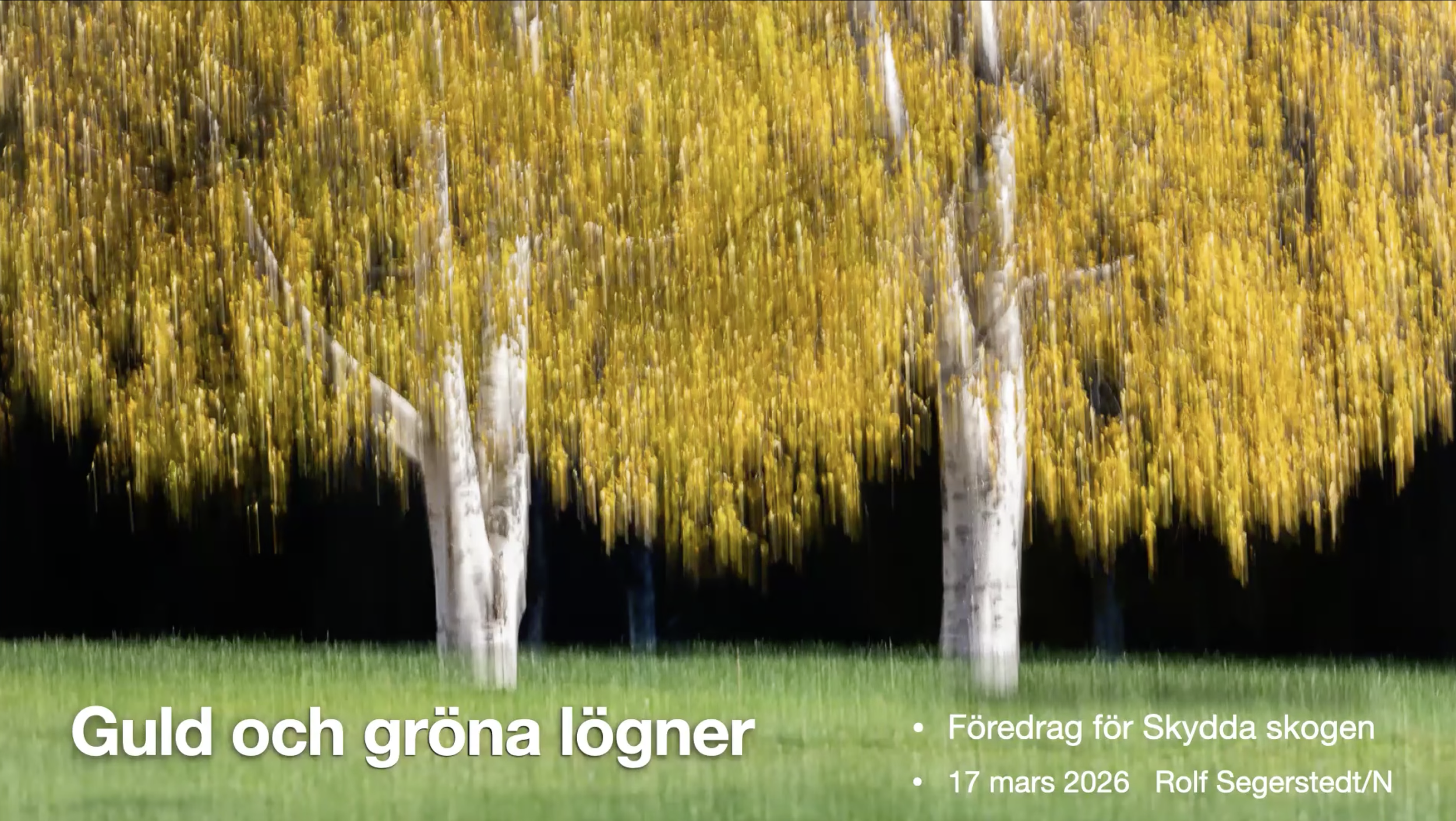 Erik Malm/N och Rolf Segerstedt/N i filmer på Youtube